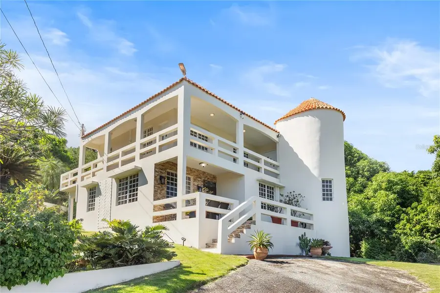 39 Bo. Camino Nuevo, Yabucoa, PR 00767 - #2