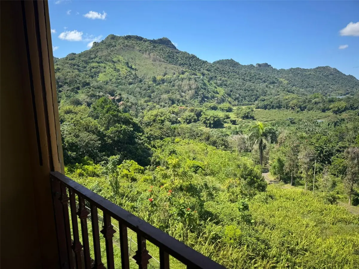 612 Carr 612 Brooks, Utuado, PR 00641 - #1