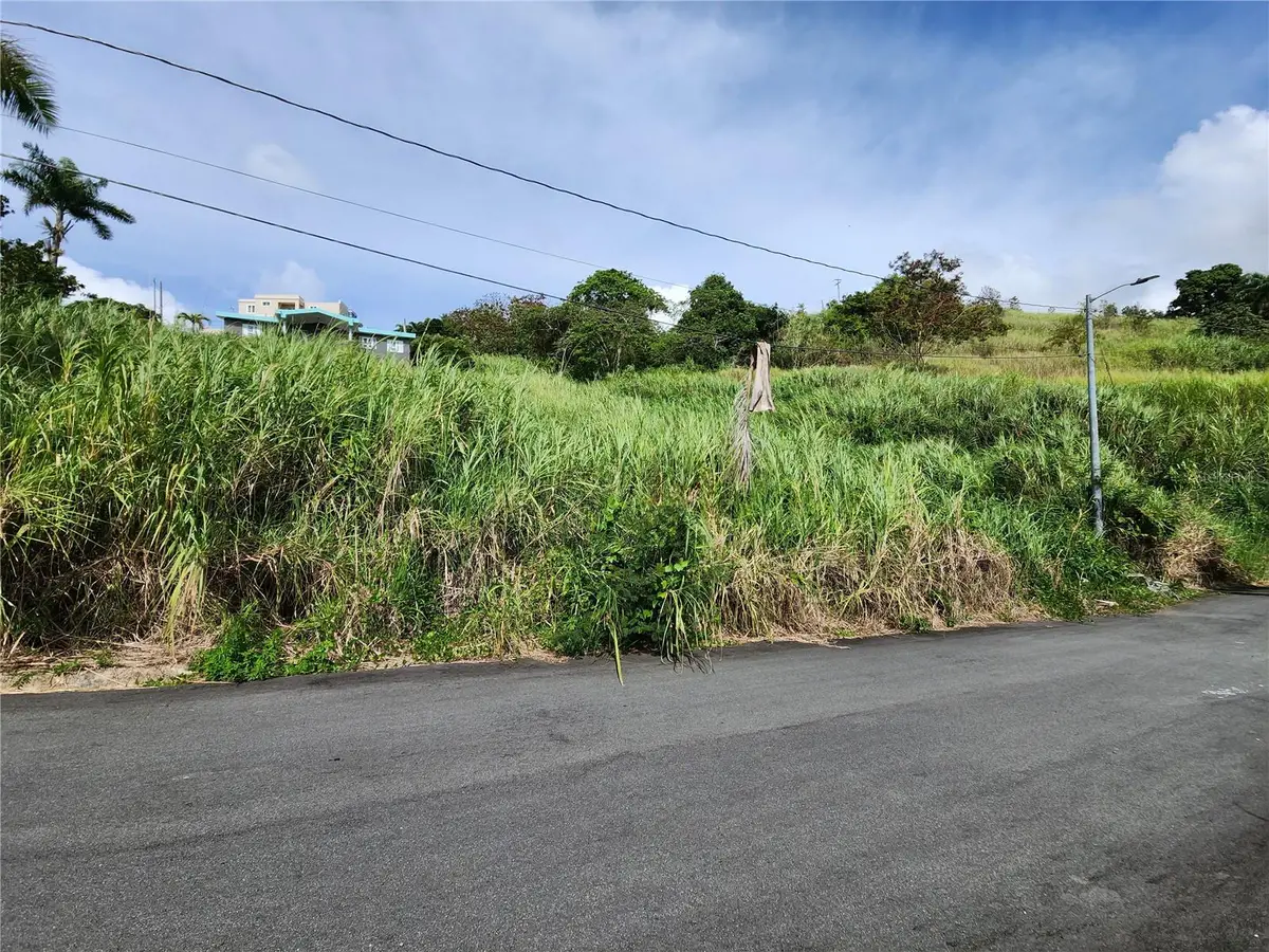 Urb Valle Imperio Lote 5, Bayamon, PR 00957 - #1