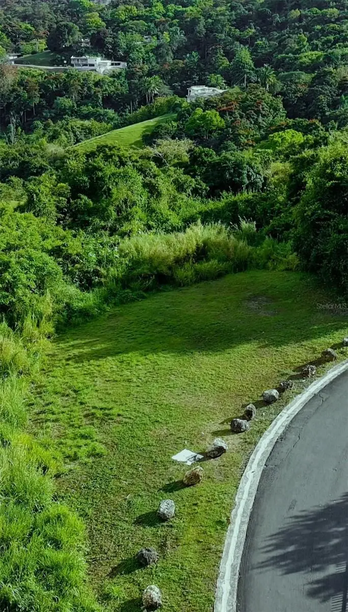 CARR 185 LOTE F Bo Carruzos, Carolina, PR 00987 - #2