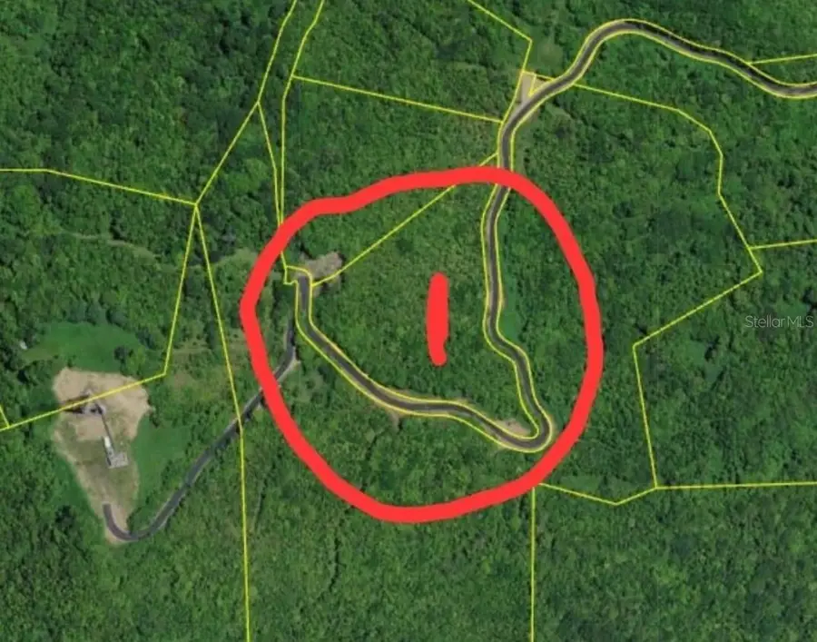 985 Km 1.6 Interior Quebrada Fajardo, Fajardo, PR 00738 - #2