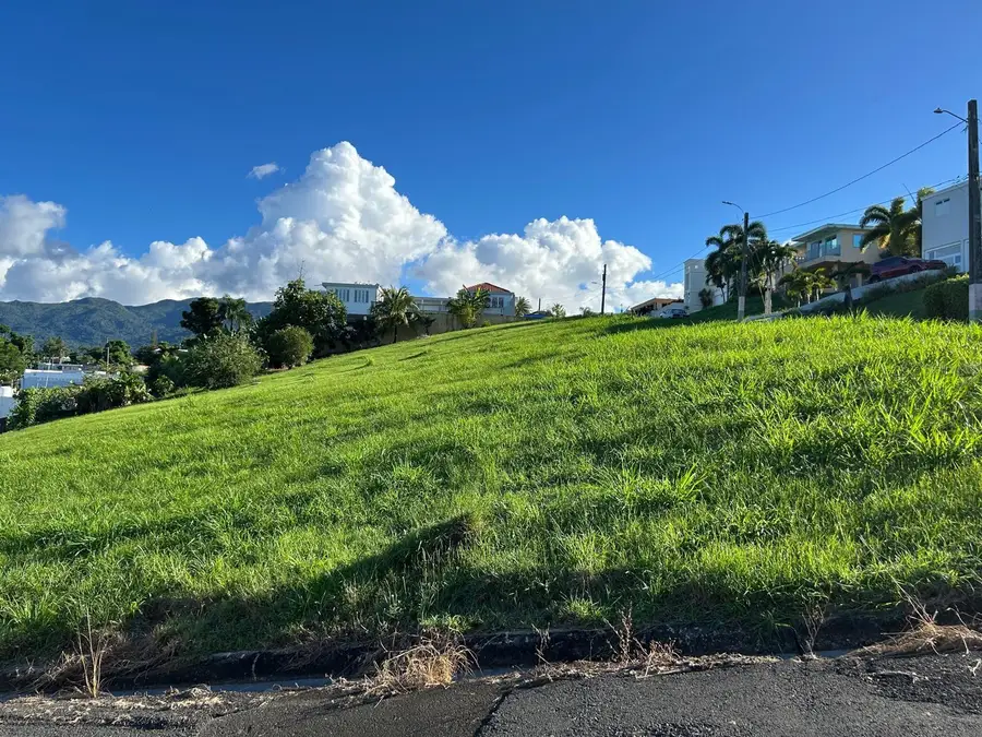 Estancias del Verde Calle 3 #71, Rio Grande, PR 00745 - #2