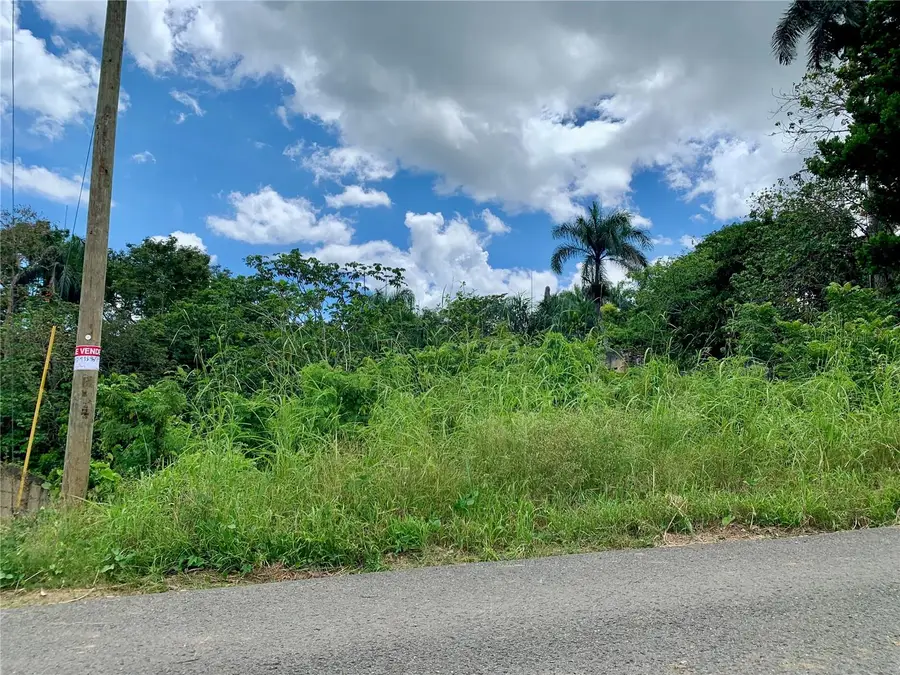 434 KM 2.4 Int. Rocha Ward, Moca, PR 00676 - #2