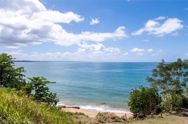 Bo. Caguabo, ANASCO, PR 00610