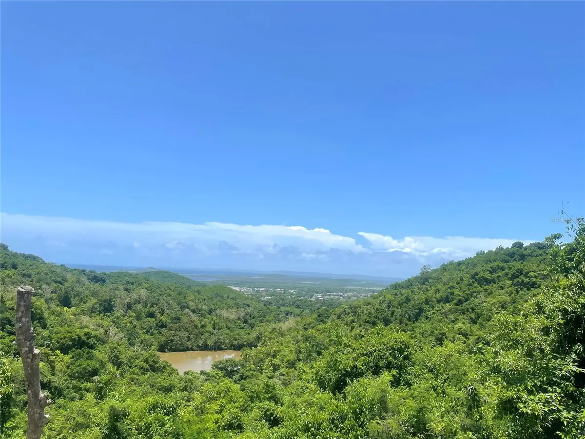 981, Ceiba, PR 00735 - #1