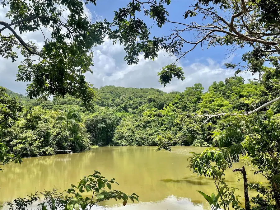 981, Ceiba, PR 00735 - #2