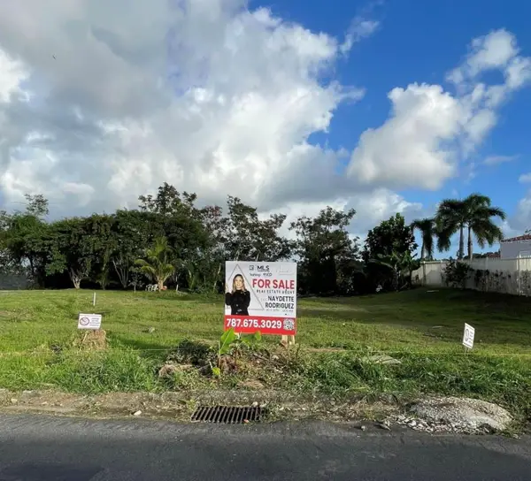 Bo. Piedras Blancas, Los Frailes, GUAYNABO, PR 00969