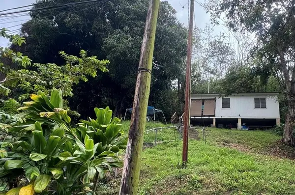 Carr. 344, Km. 1.2 Barrio Guanajibo, HORMIGUEROS, PR 00660