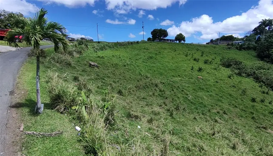 Pr 749 Km 0.2 Lot 3 Quebrada Grande Wd, Barranquitas, PR 00794 - #3