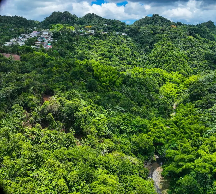 SR 146 Km. 19.4 Interior Bo Cordillera, Ciales, PR 00638 - #2