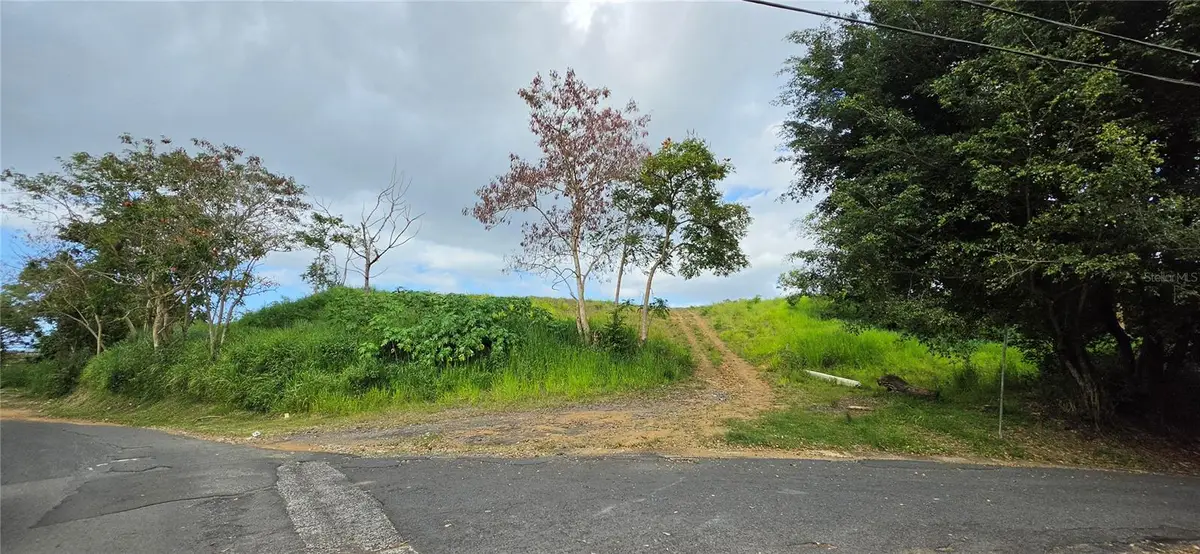 BO MARTIN GONZALEZ Calle Campeche, Carolina, PR 00987 - #1