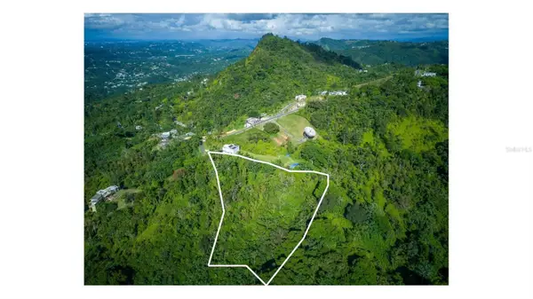 PR 879 Bo Guaraguao Arriba #5, BAYAMON, PR 00956