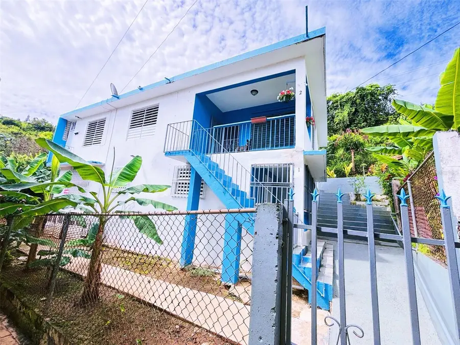CALLE MARTIN BARRY Lote 4, Sector Salcipuedes, Orocovis, PR 00720 - #3