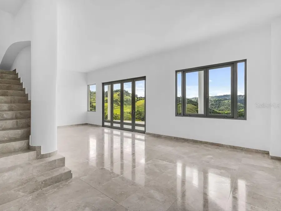 CARR 171 Mogote, Cayey, PR 00736 - #2
