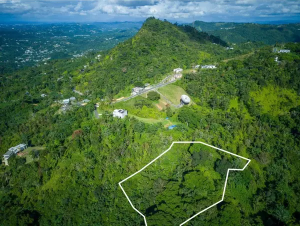 PR 879 Bo Guaraguao Arriba #3, BAYAMON, PR 00956