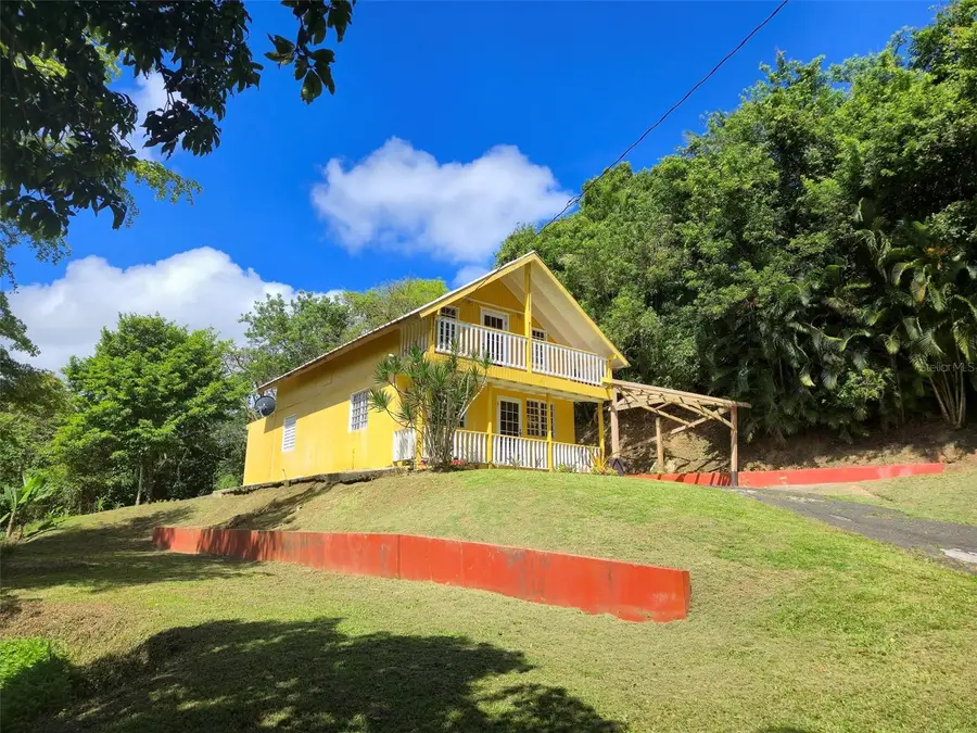 PR 770 KM 5.5 Caabn Ward, Barranquitas, PR 00794 - #3