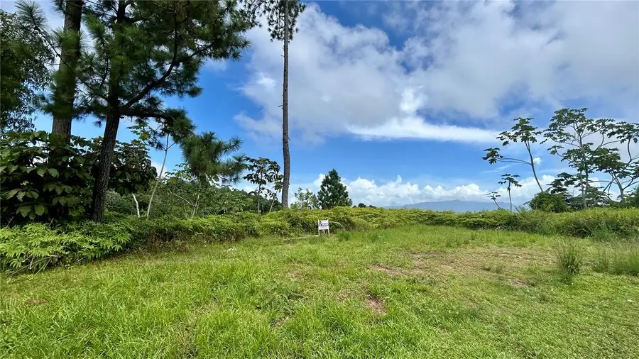 Carr 917, Km 5.9, B0 Montones, Las Piedras, PR 00771 - #3