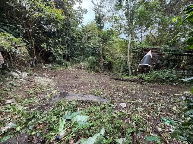 Bo Jimenez Carr 966, Rio Grande, PR 00745 - #3