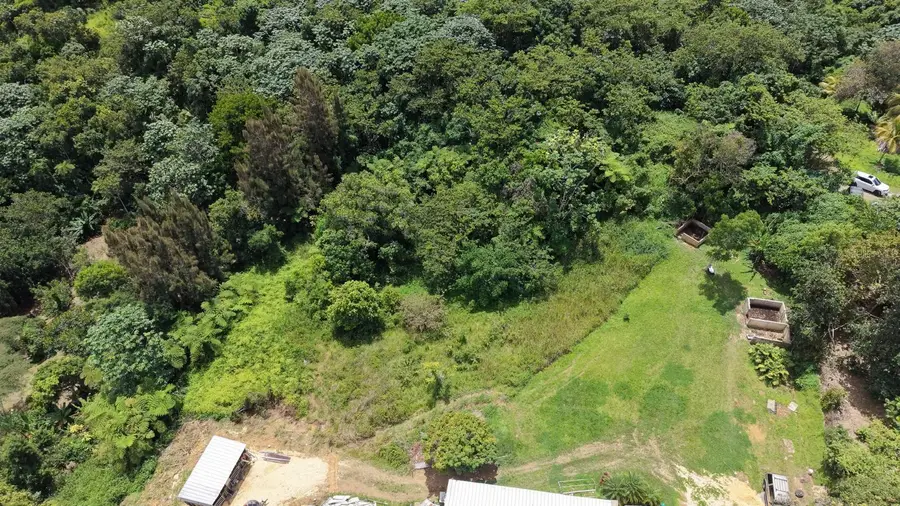 Camino Vitoriano, Lares, PR 00669 - #2