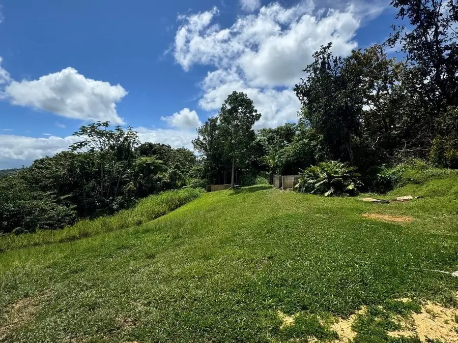 Camino Vitoriano, Lares, PR 00669 - #3