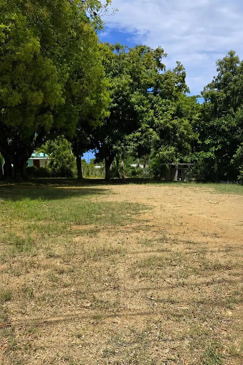 Barrio Puntas, Rincon, PR 00677 - #3
