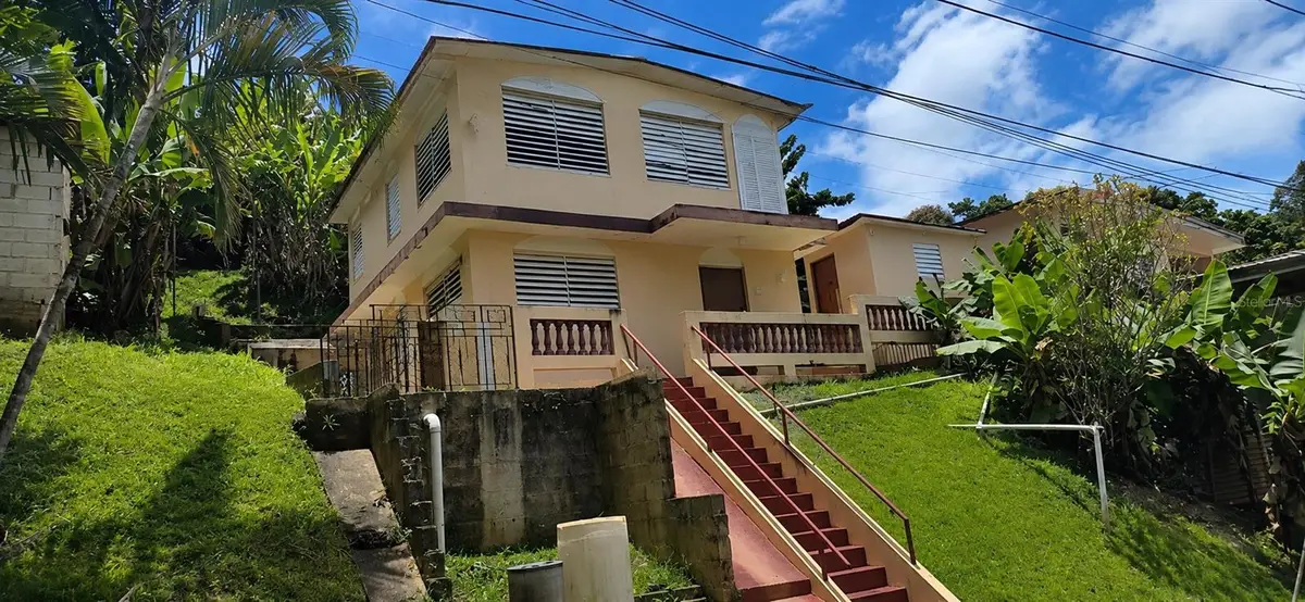 53 Aquilino Carr. 430, Bo. Ovejas, Anasco, PR 00610 - #1