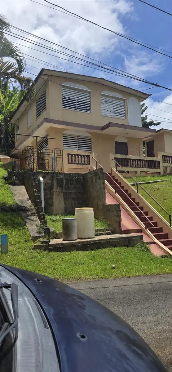 53 Aquilino Carr. 430, Bo. Ovejas, Anasco, PR 00610 - #2