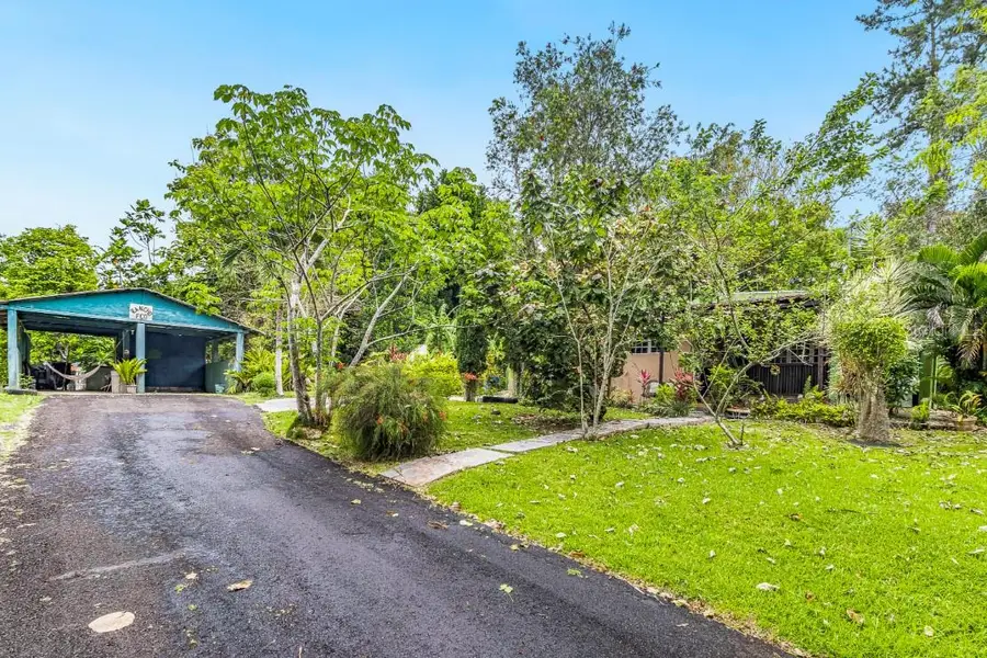 Road PR-455 Bo. Quebrada Int, Camuy, PR 00627 - #2