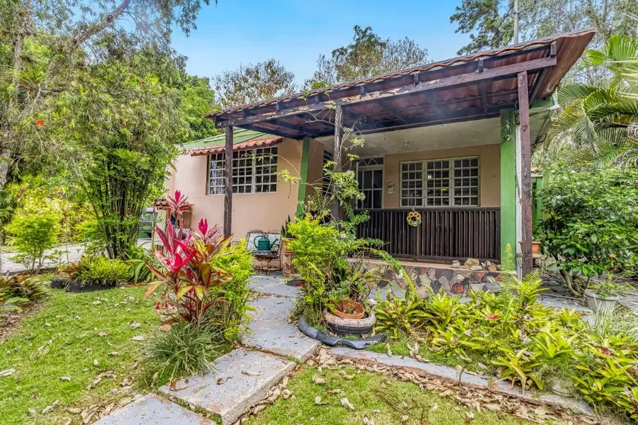 Road PR-455 Bo. Quebrada Int, Camuy, PR 00627 - #3
