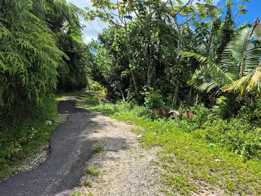 KM 24.1 Pr 143, Juana Diaz, PR 00795 - #2