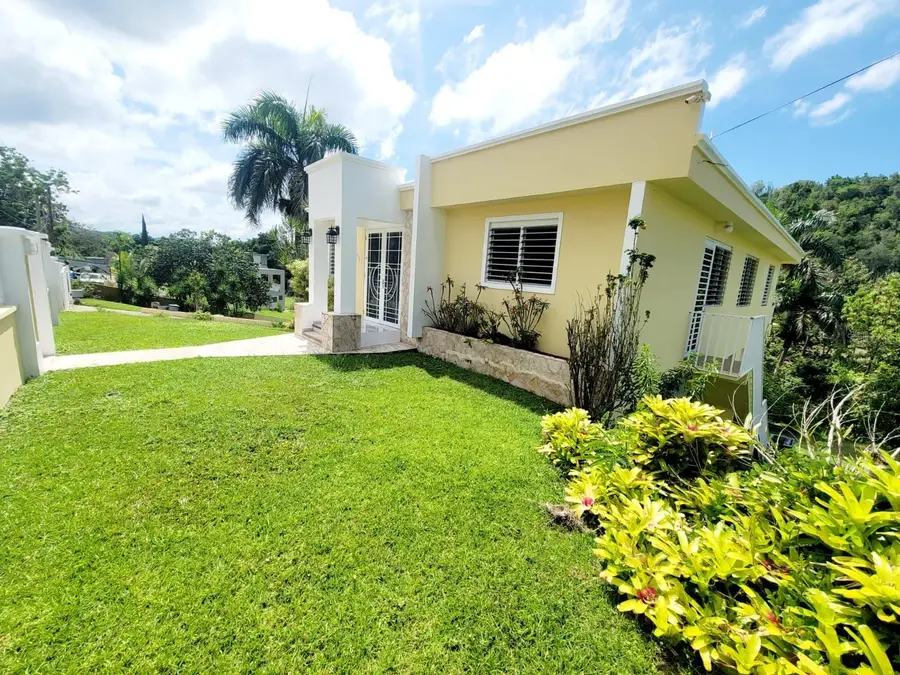 8C Clavel St., Dorado, PR 00646 - #2
