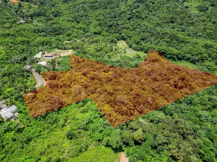 436 Km 1.8 Interior Sector Jess Beltrn, Lares, PR 00669 - #2