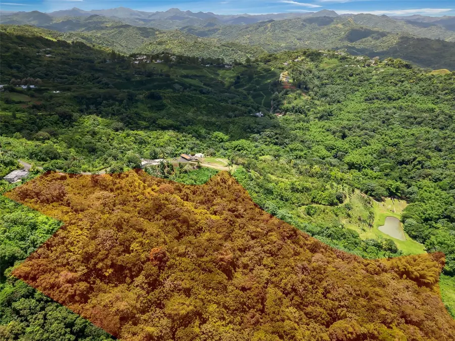436 Km 1.8 Interior Sector Jess Beltrn, Lares, PR 00669 - #3