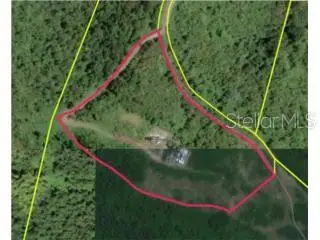 Address Withheld By Seller, NAGUABO, PR 00718