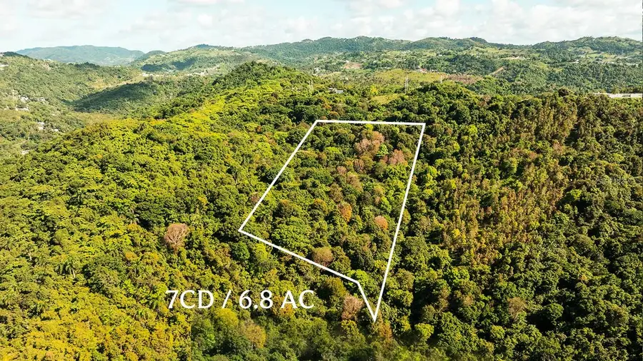 Carr 853 Bo. Cacao Lote 15, Carolina, PR 00987 - #2