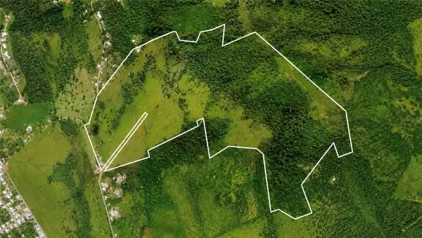 971 KM 14.5 Bo. Duque, NAGUABO, PR 00718