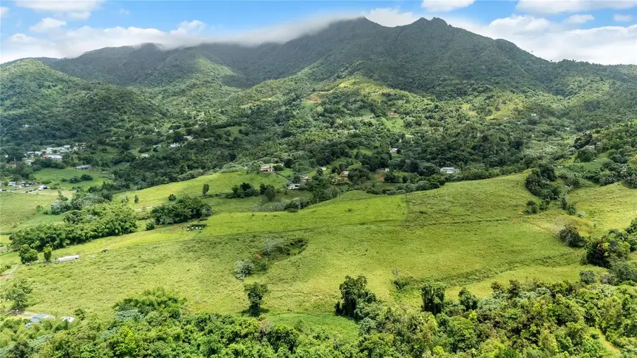 971 KM 14.5 Bo. Duque, Naguabo, PR 00718 - #3