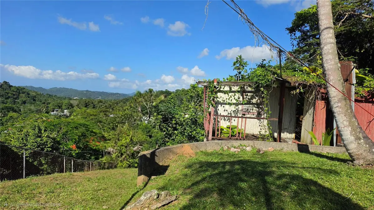 Bo. Guaraguao Sector Sanchez Mulero #lote 1, Bayamon, PR 00956 - #1