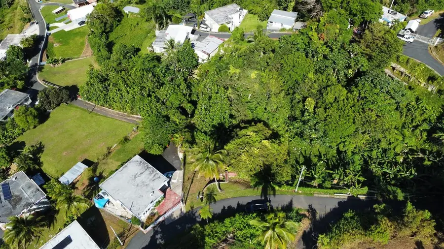 Bo. Guaraguao Sector Sanchez Mulero #lote 1, Bayamon, PR 00956 - #3