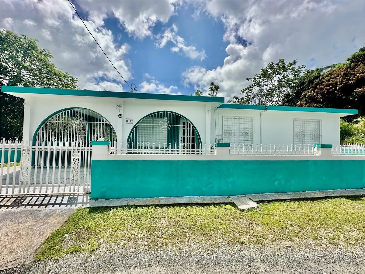 Bo Tejas - Tomas Berriios Bo Tejas Sector Tomas Berrios Rd 9921, Las Piedras, PR 00771 - #1