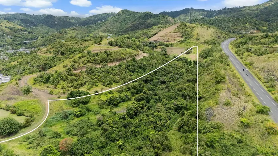 442 Urb. Valle Alto Avenue, Cayey, PR 00736 - #2