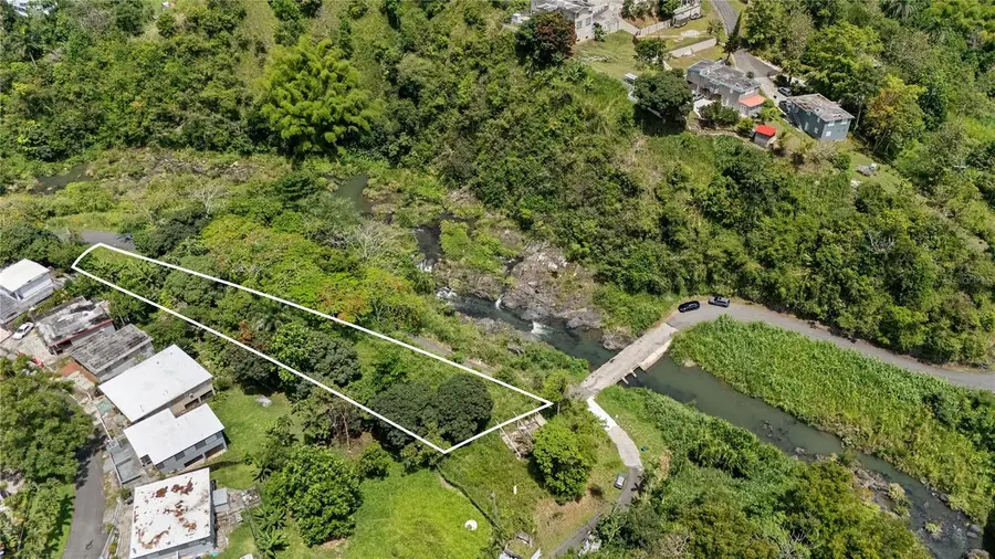 7731 Barrio Rincon, Cidra, PR 00739 - #3