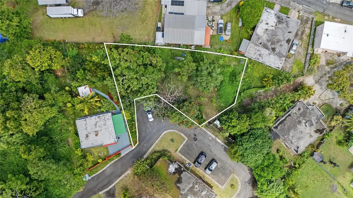 7731 Barrio Rincon, Cidra, PR 00739 - #1