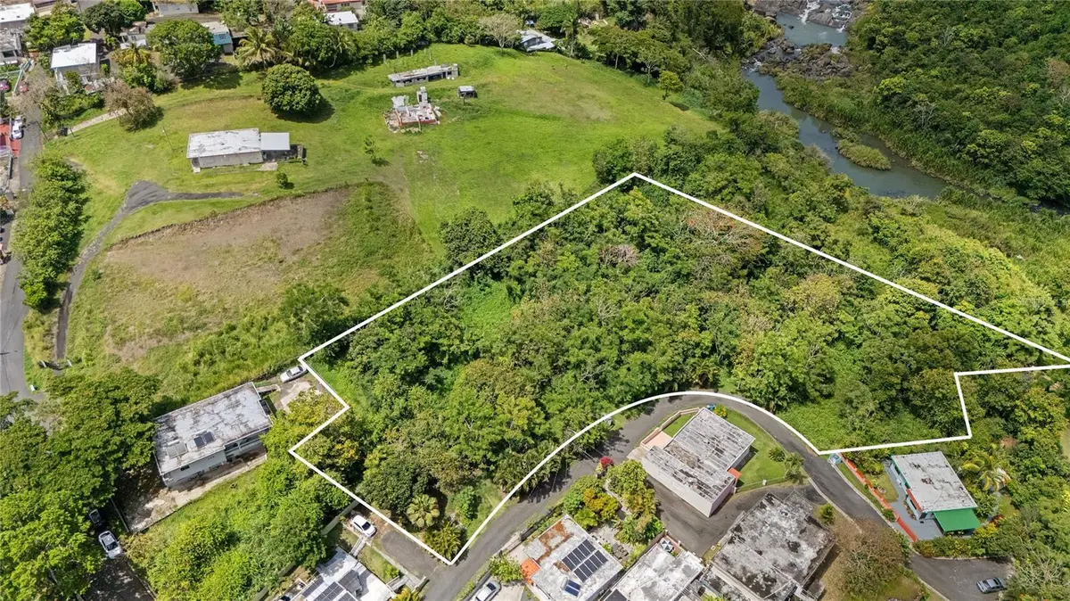 7731 Barrio Rincon, Cidra, PR 00739 - #1