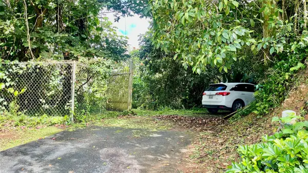 718 Bo. Pasto Road, AIBONITO, PR 00705