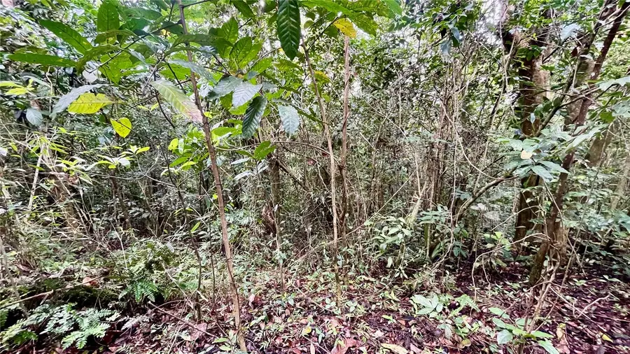 718 Bo. Pasto Road, Aibonito, PR 00705 - #3