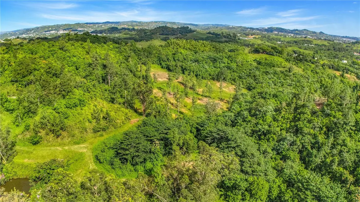 63 Sector Monticello, Cidra, PR 00739 - #1