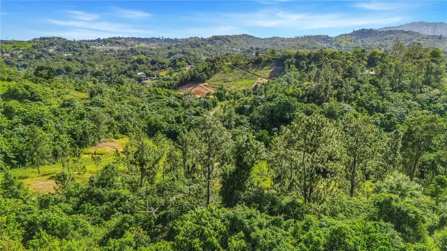 63 Sector Monticello, Cidra, PR 00739 - #3