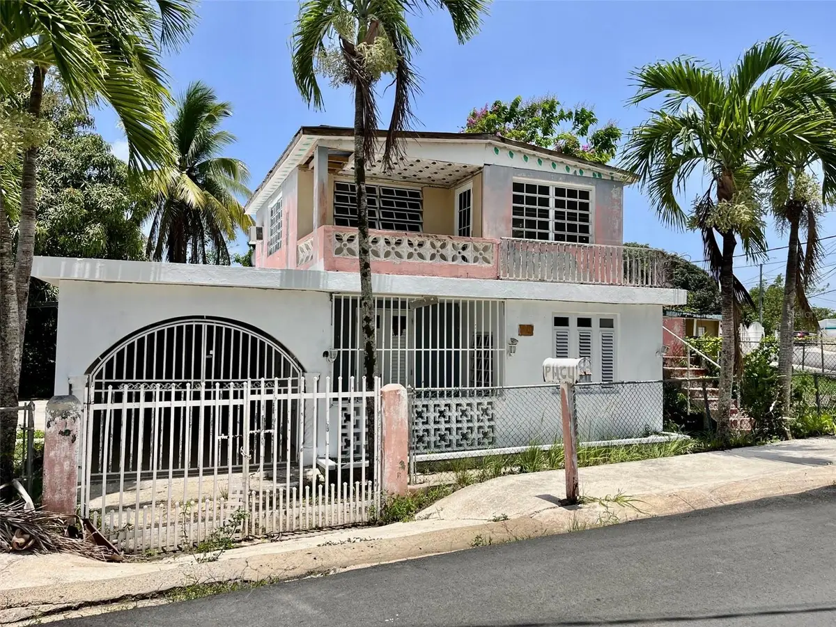 Calle 4 San Isidro, Canovanas, PR 00729 - #1