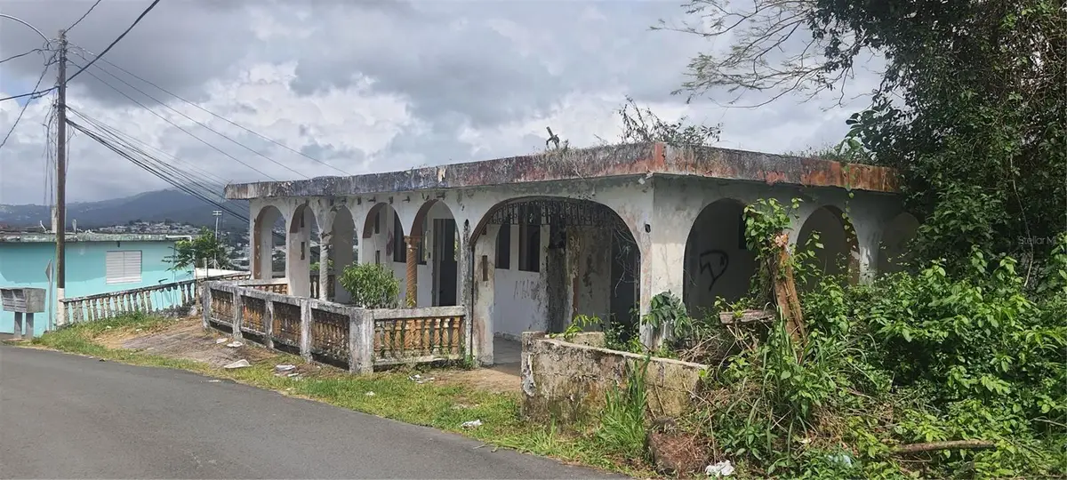 H-155 Buena Vista, Toita Ward, La Herradura Sector, Cayey, PR 00736 - #1